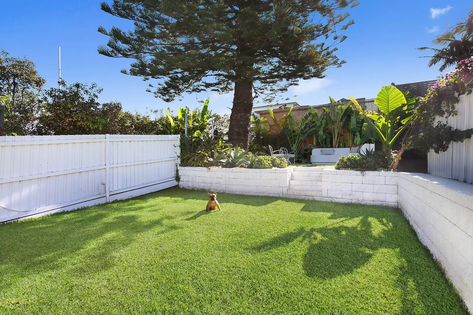 28 Duncan Street, Maroubra Sold by Sydney Sotheby's International Realty - image 10