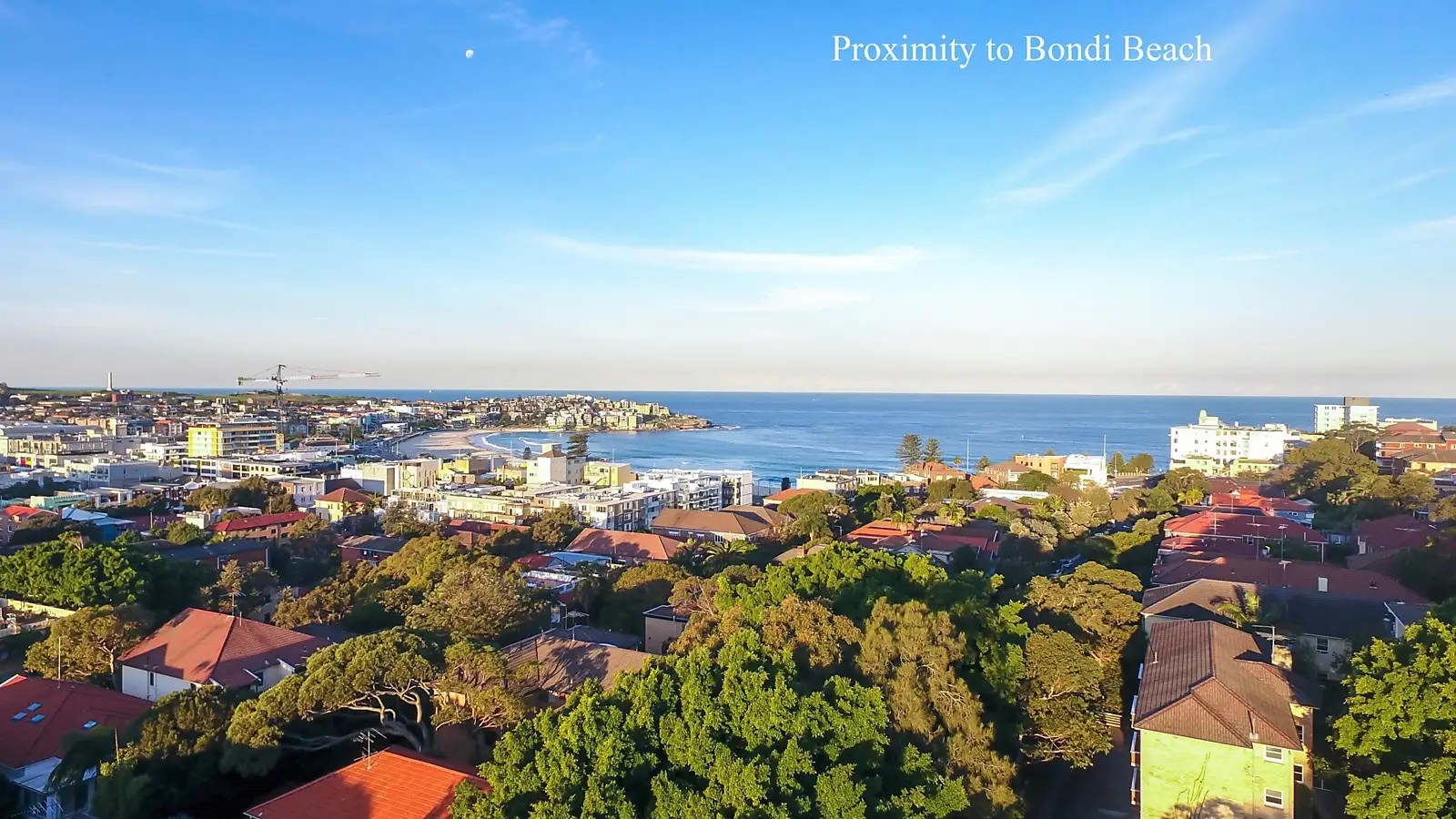 56 Sir Thomas Mitchell Road, Bondi Beach Sold by Sydney Sotheby's International Realty - image 3