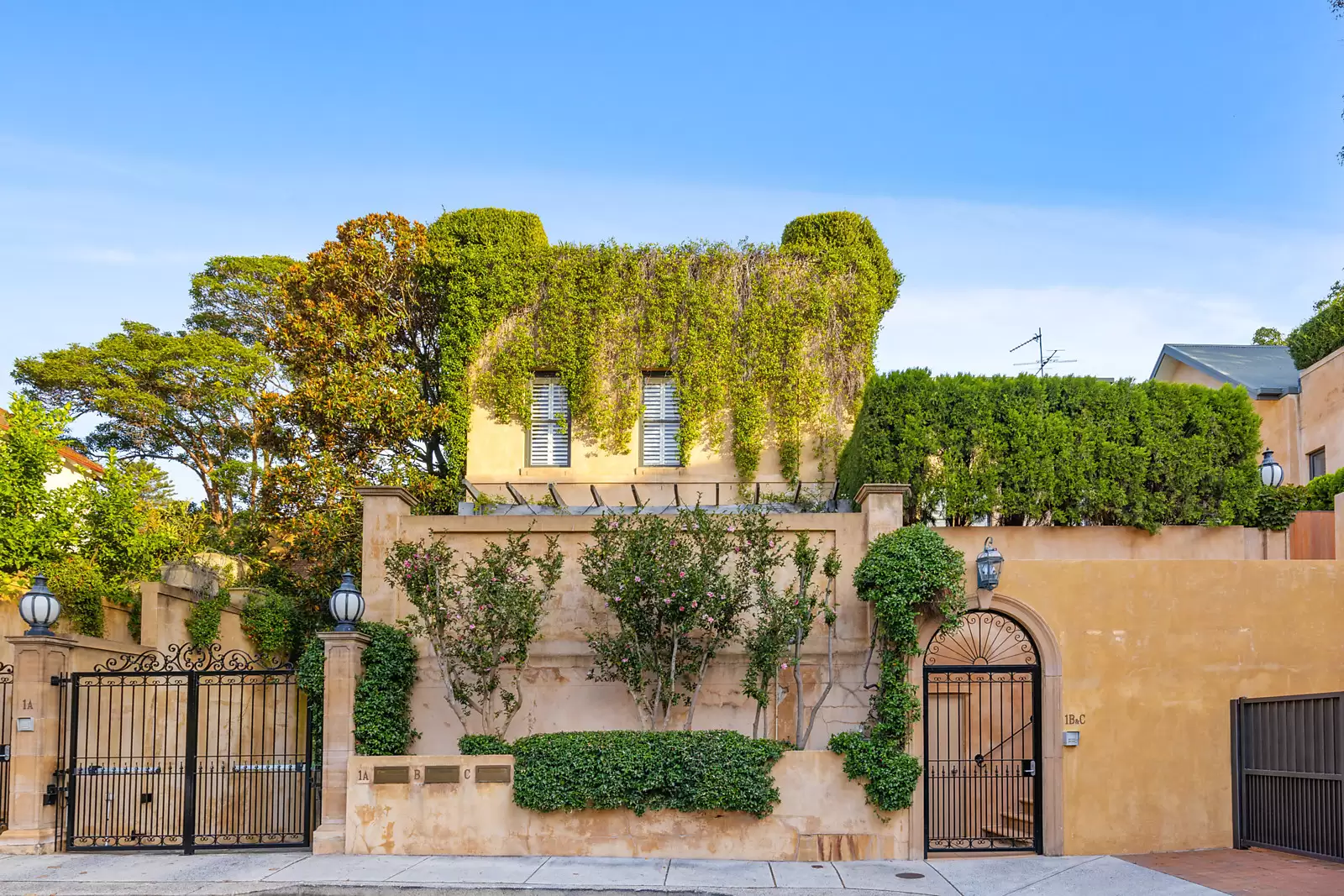 1B Tara Street, Woollahra Sold by Sydney Sotheby's International Realty - image 1