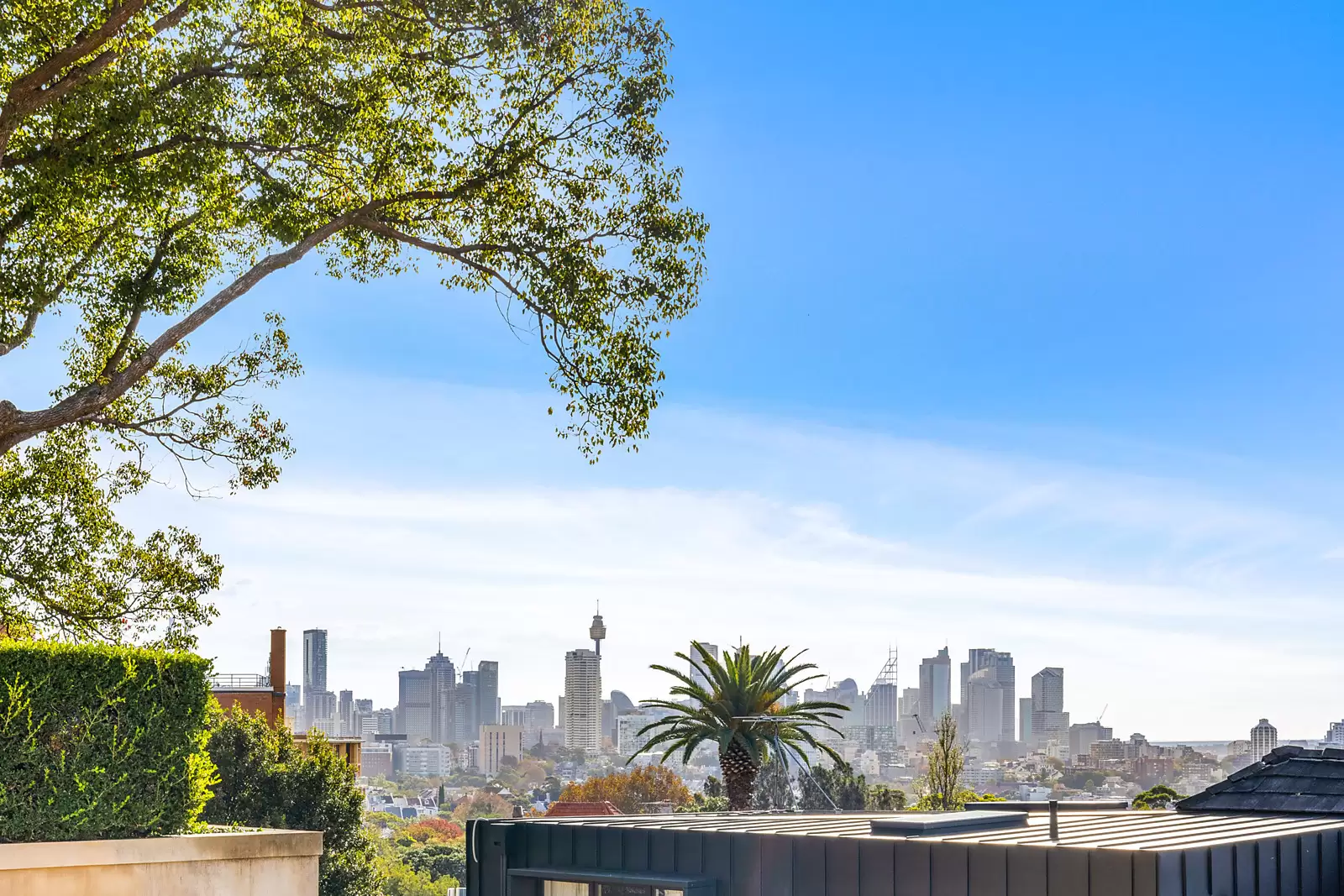 1B Tara Street, Woollahra Sold by Sydney Sotheby's International Realty - image 12