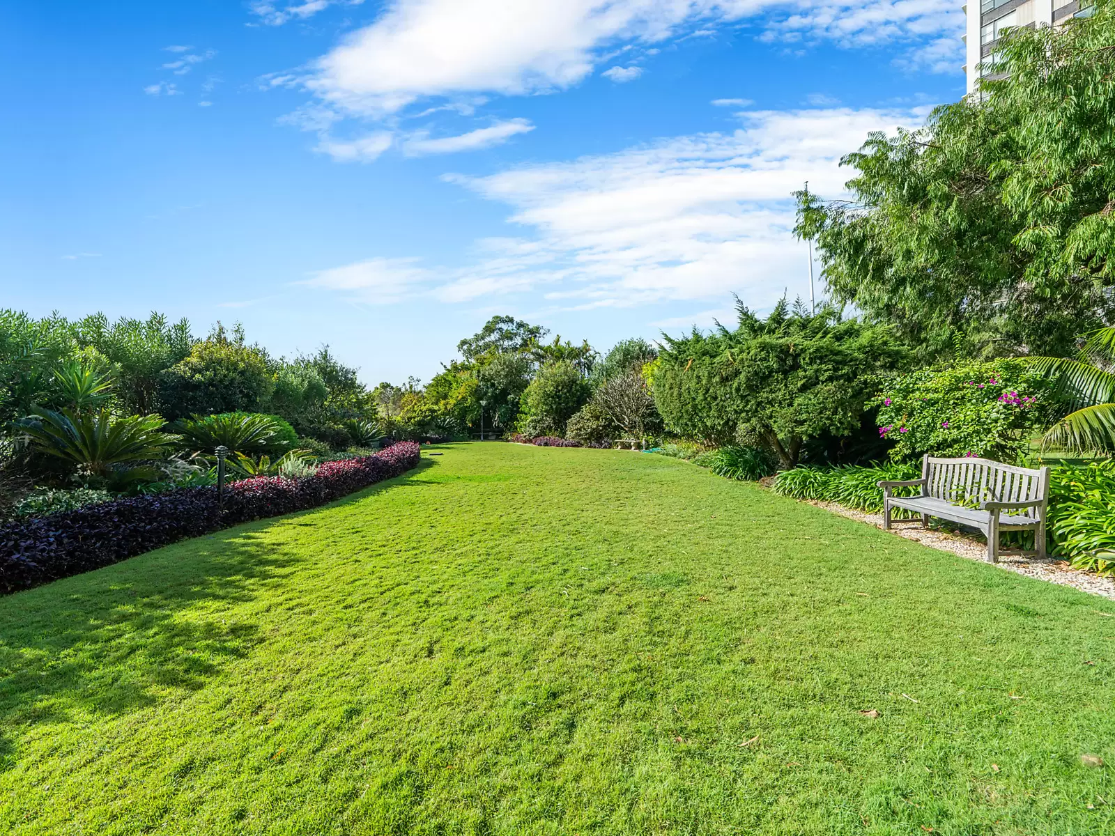 7C/13-15 Thornton Street, Darling Point Sold by Sydney Sotheby's International Realty - image 23