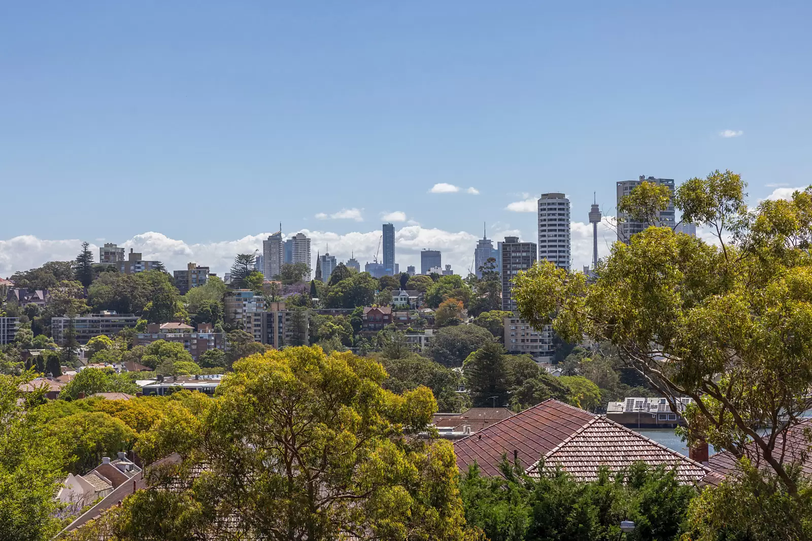 4/531 New South Head Road, Double Bay Sold by Sydney Sotheby's International Realty - image 8