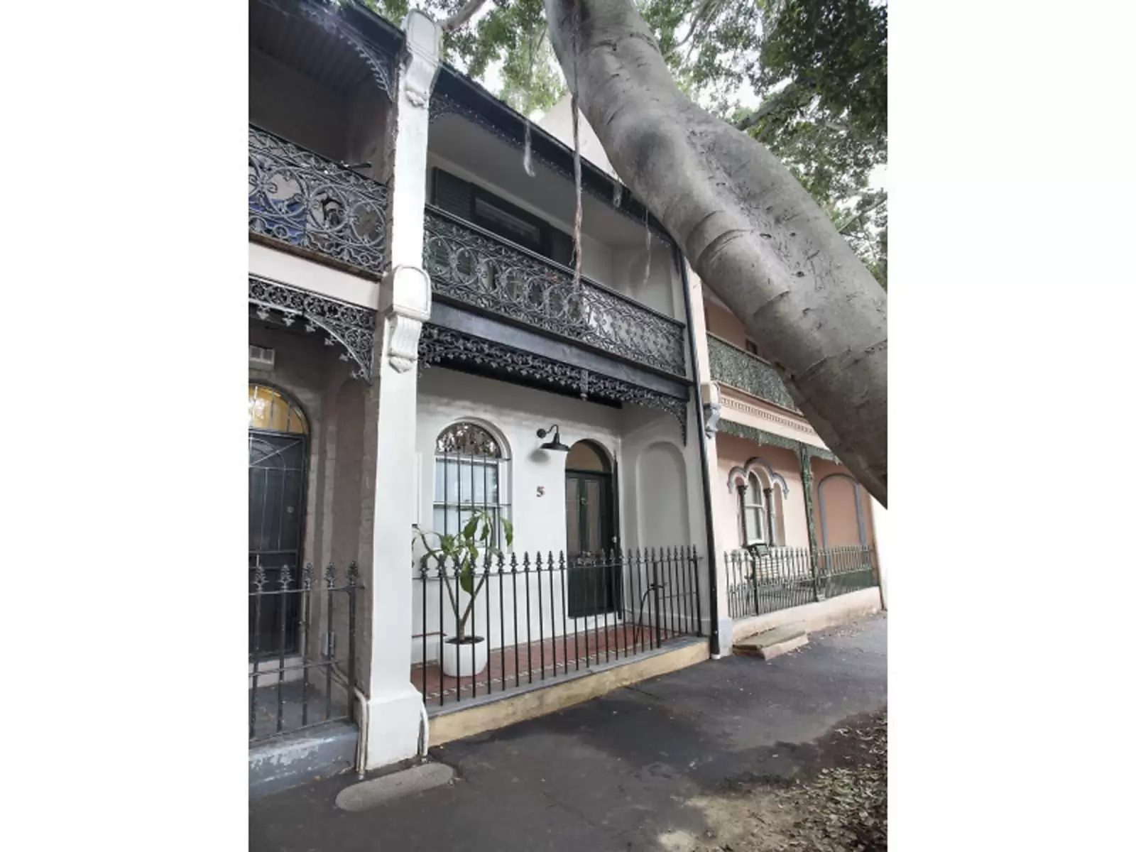 5 Napier Street, Paddington Leased by Sydney Sotheby's International Realty - image 5