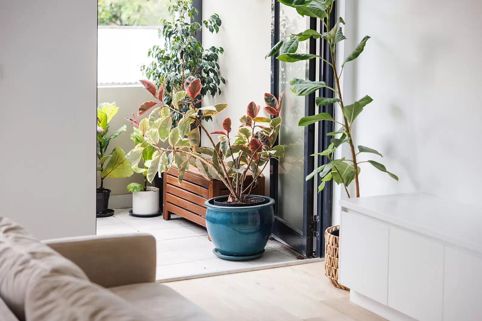 6/352 Moore Park, Paddington Sold by Sydney Sotheby's International Realty - image 9