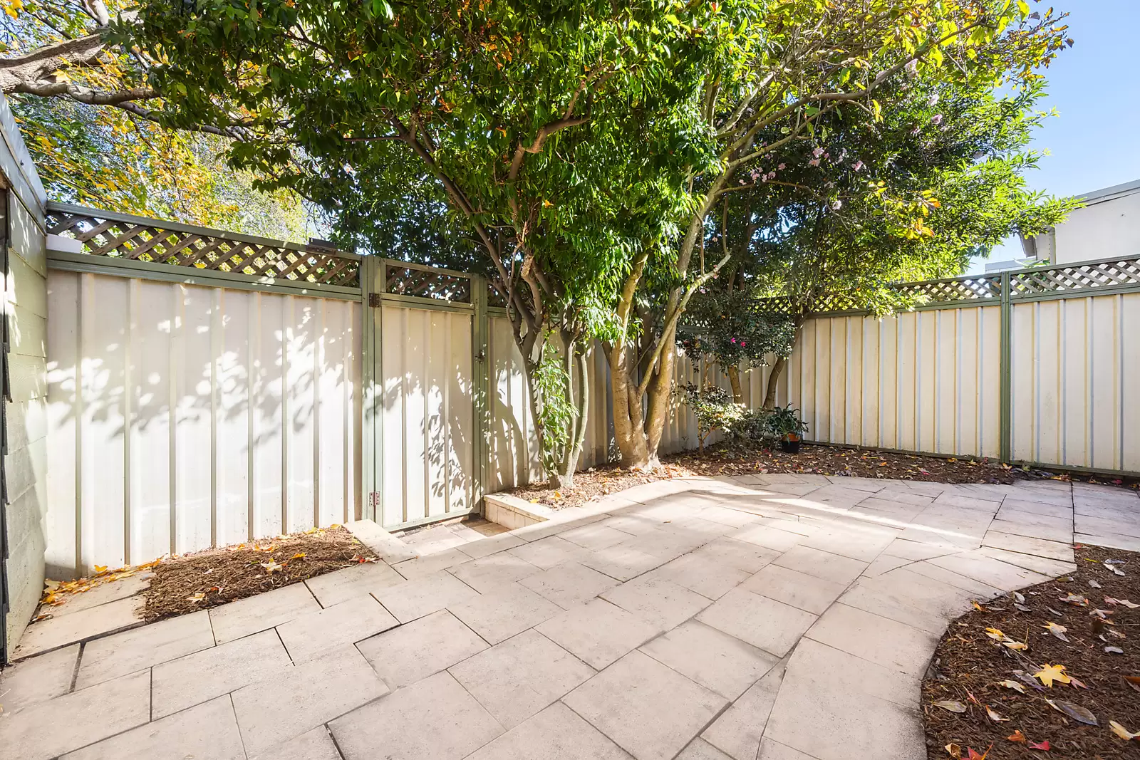 3 Alice Avenue, Newtown Sold by Sydney Sotheby's International Realty - image 3