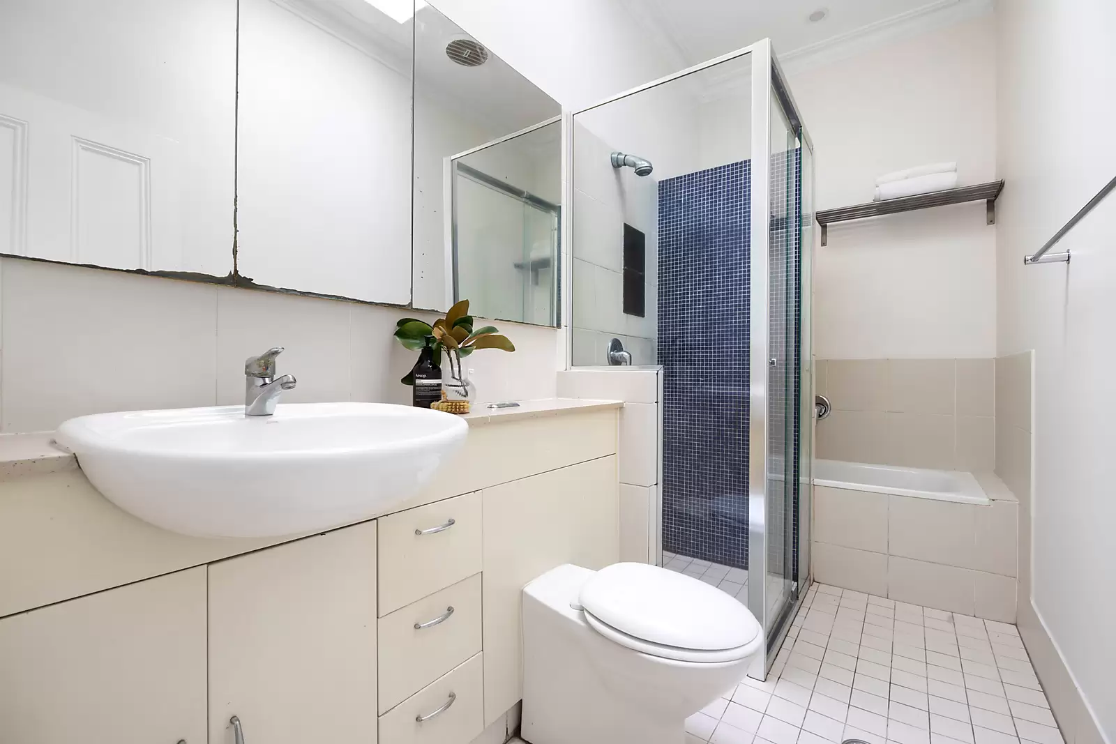 3 Alice Avenue, Newtown Sold by Sydney Sotheby's International Realty - image 5
