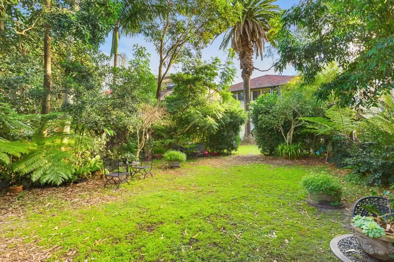 3/137 Mount Street, Coogee Leased by Sydney Sotheby's International Realty - image 6