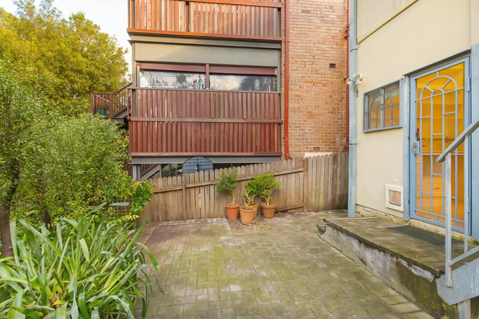 3/137 Mount Street, Coogee Leased by Sydney Sotheby's International Realty - image 8
