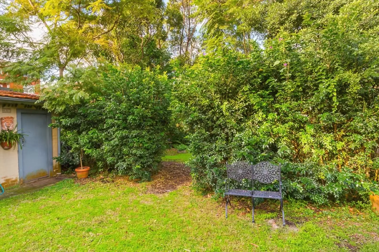 3/137 Mount Street, Coogee Leased by Sydney Sotheby's International Realty - image 7