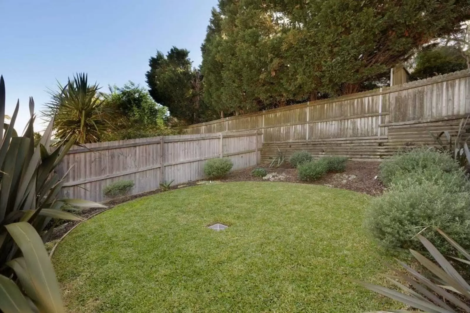78 Onslow Street, Rose Bay Leased by Sydney Sotheby's International Realty - image 5