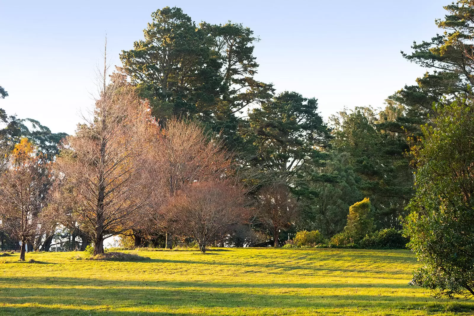 421 Myra Vale Road, Wildes Meadow For Sale by Sydney Sotheby's International Realty - image 15
