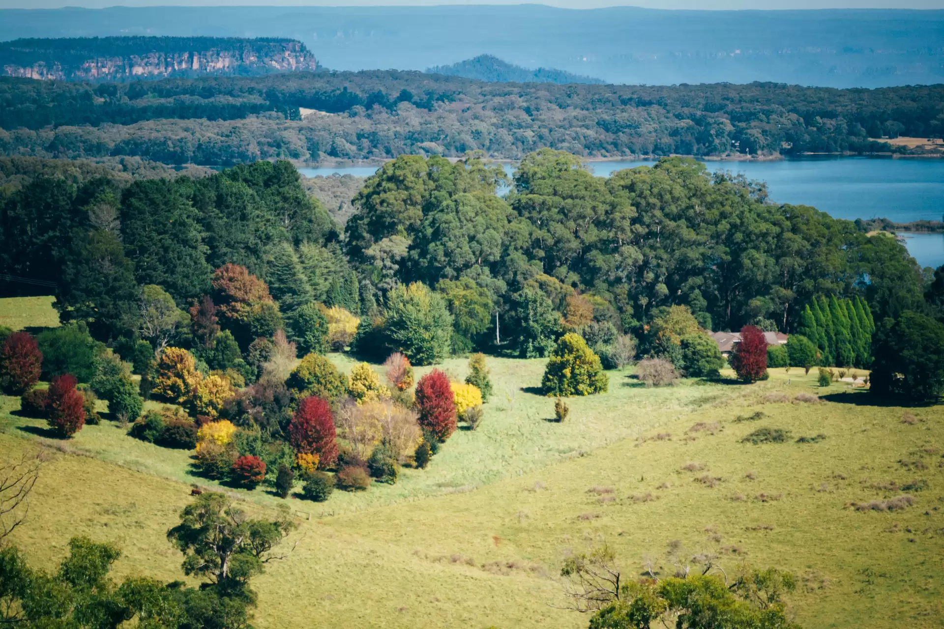 421 Myra Vale Road, Wildes Meadow For Sale by Sydney Sotheby's International Realty - image 2