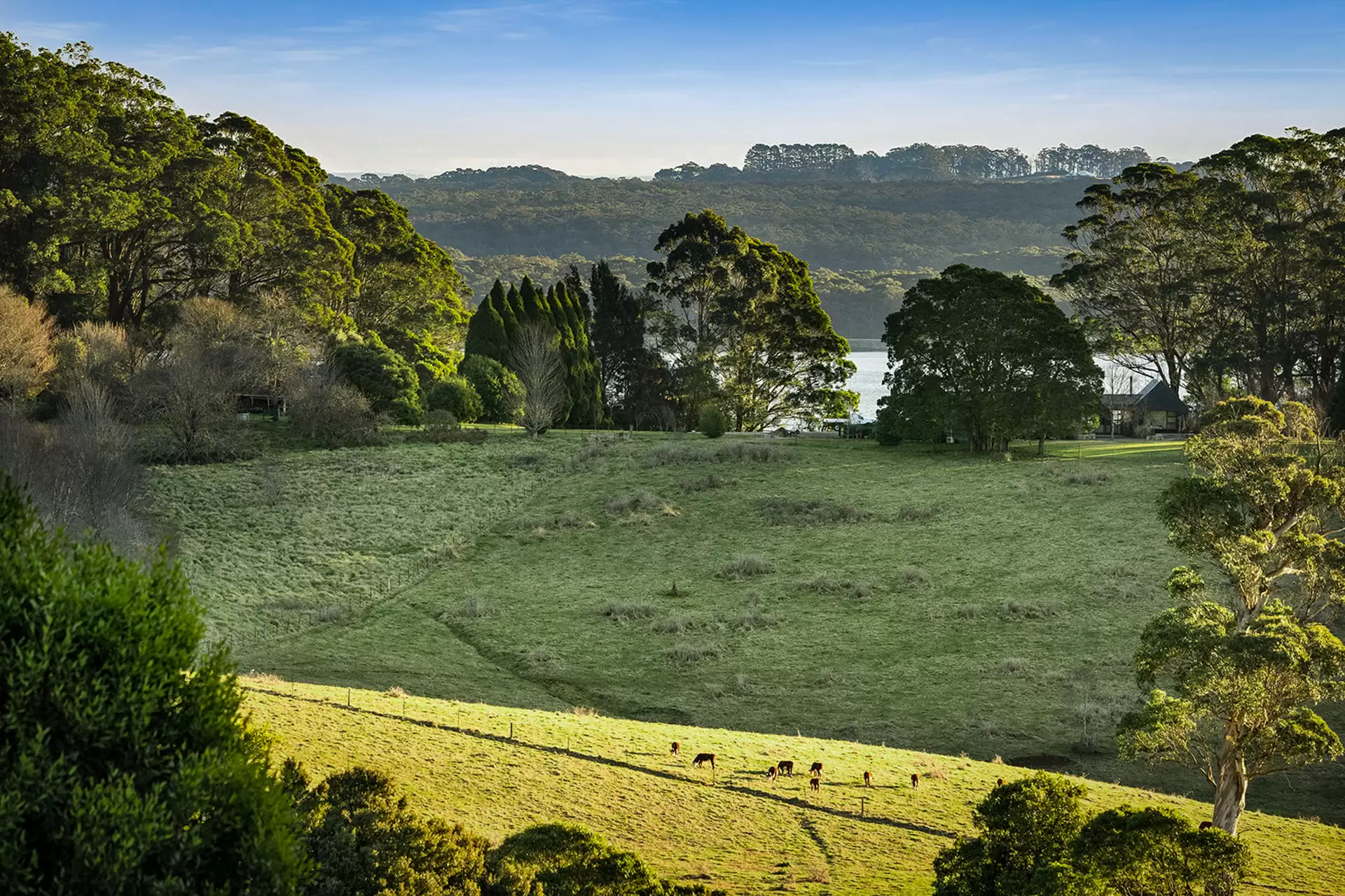 421 Myra Vale Road, Wildes Meadow For Sale by Sydney Sotheby's International Realty - image 3