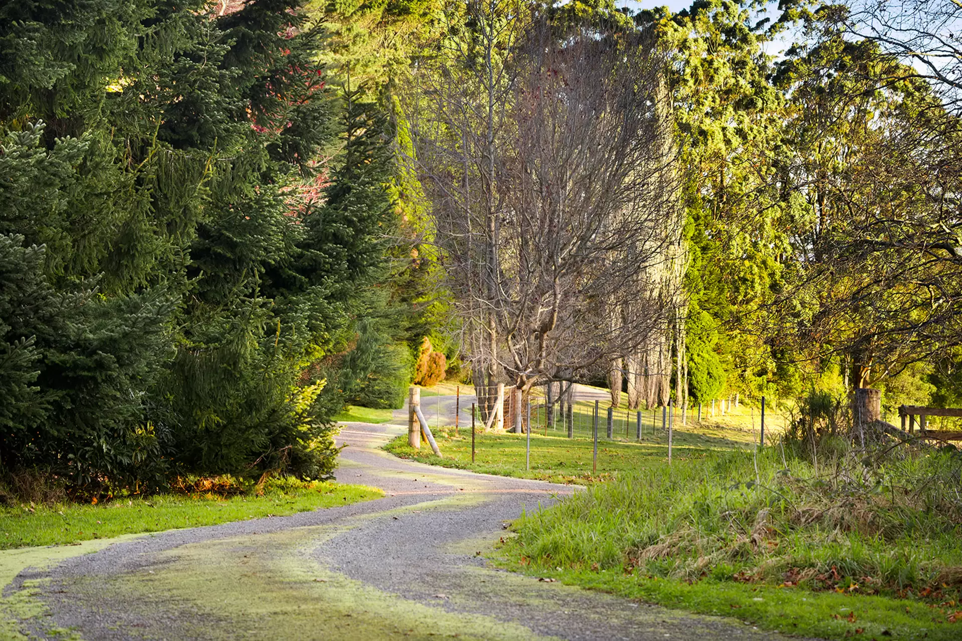 421 Myra Vale Road, Wildes Meadow For Sale by Sydney Sotheby's International Realty - image 8