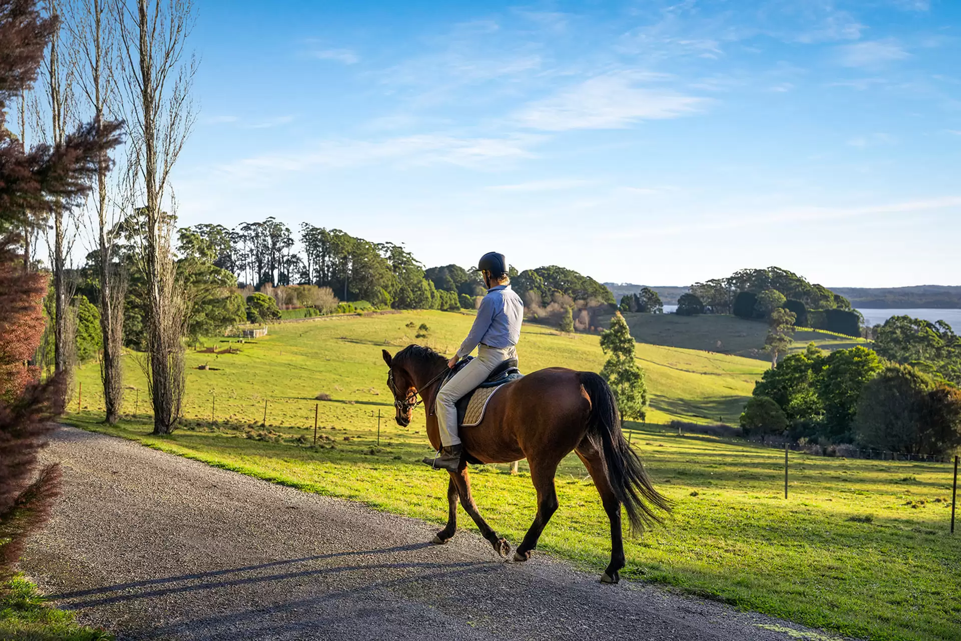 421 Myra Vale Road, Wildes Meadow For Sale by Sydney Sotheby's International Realty - image 12