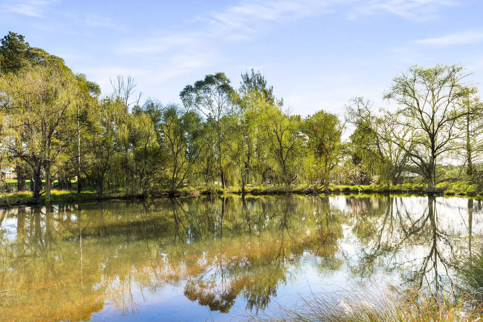 280 Kangaloon Road, Bowral For Sale by Sydney Sotheby's International Realty - image 10