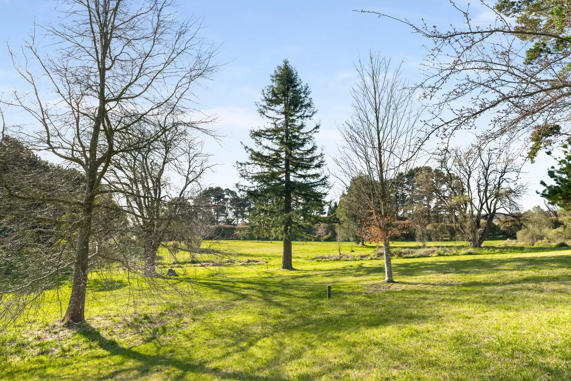 280 Kangaloon Road, Bowral For Sale by Sydney Sotheby's International Realty - image 4