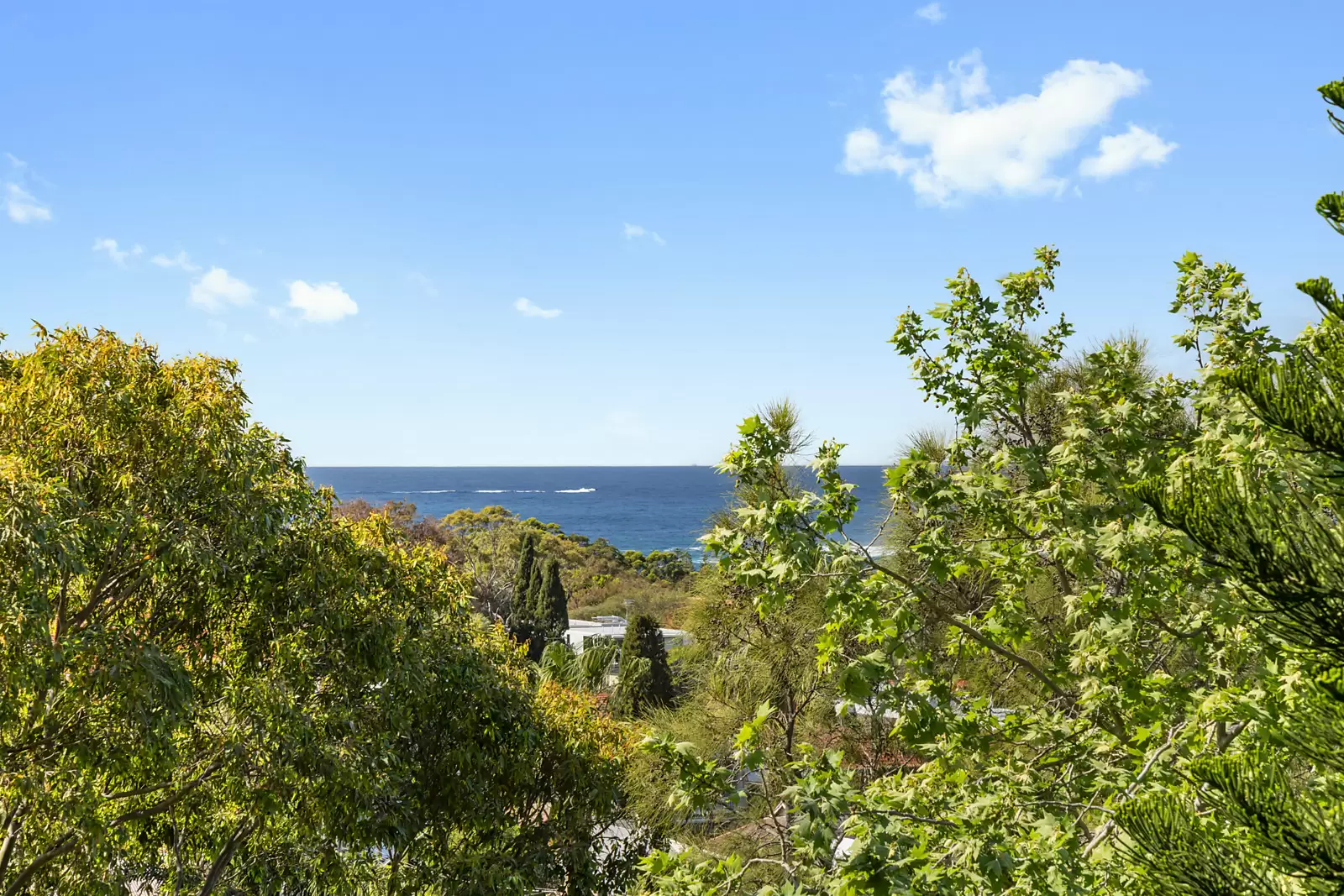 65E/260 Alison Road, Randwick Sold by Sydney Sotheby's International Realty - image 2