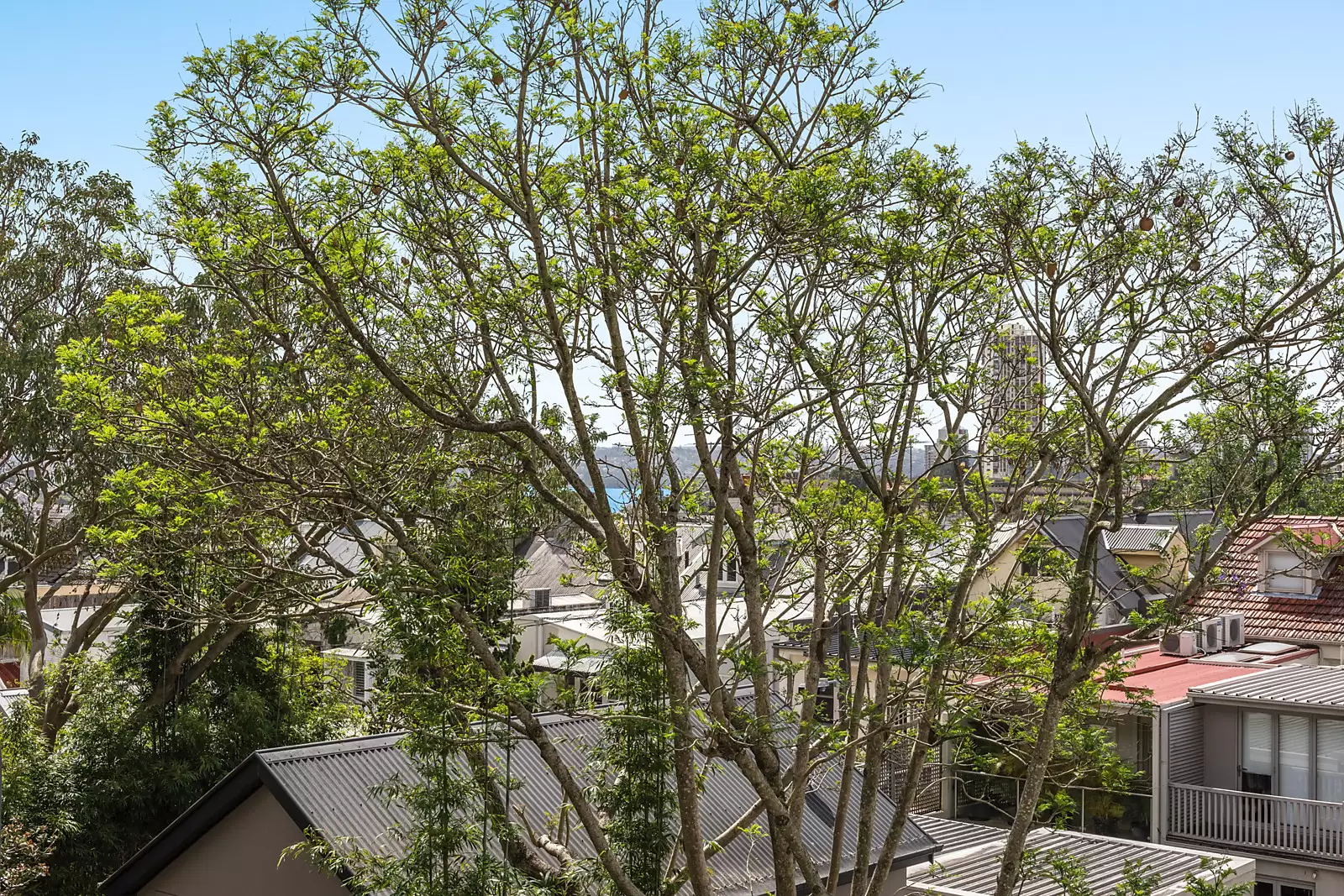 130 Paddington Street, Paddington Sold by Sydney Sotheby's International Realty - image 16