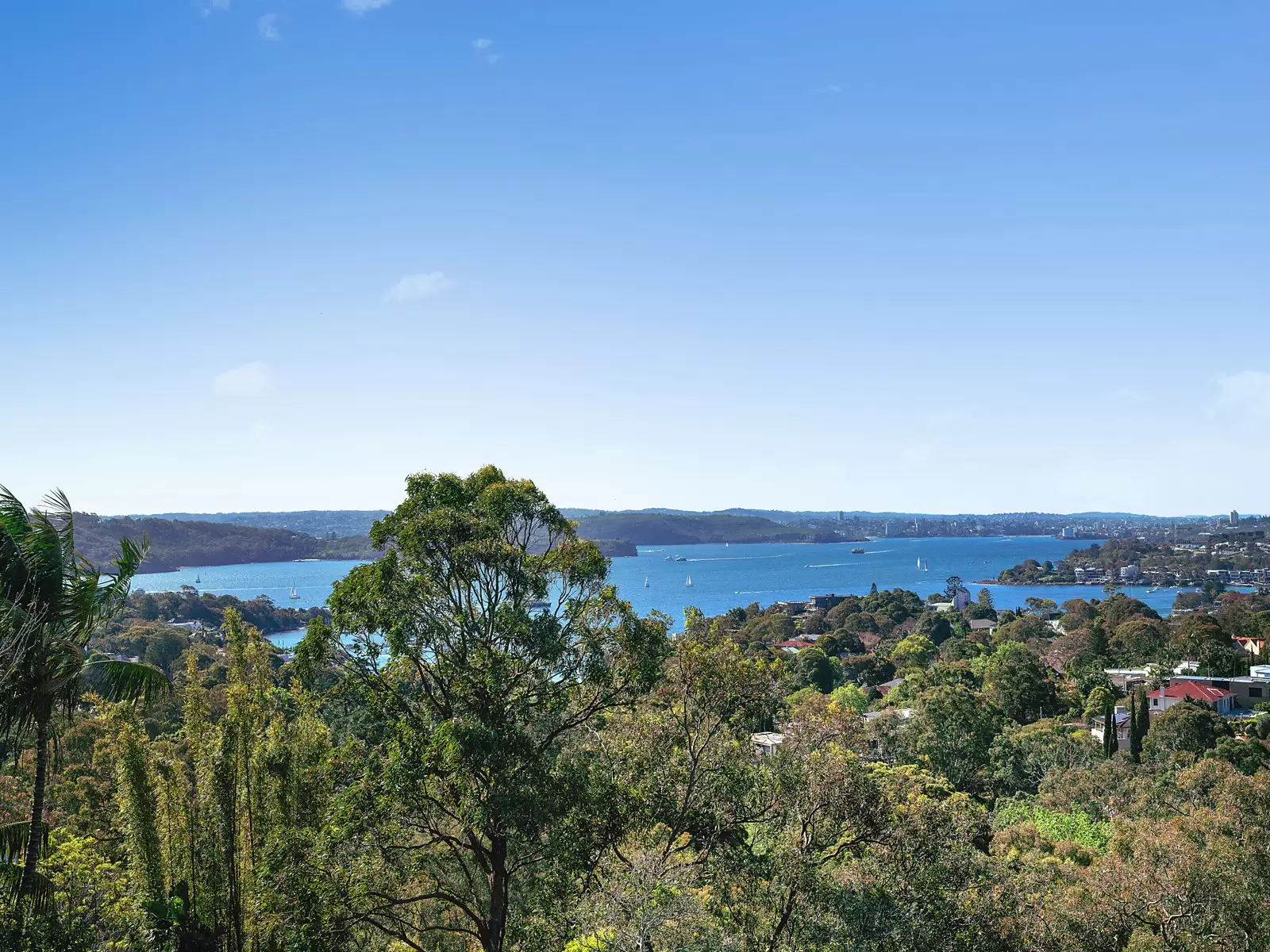 2 Hopetoun Avenue, Vaucluse Sold by Sydney Sotheby's International Realty - image 16