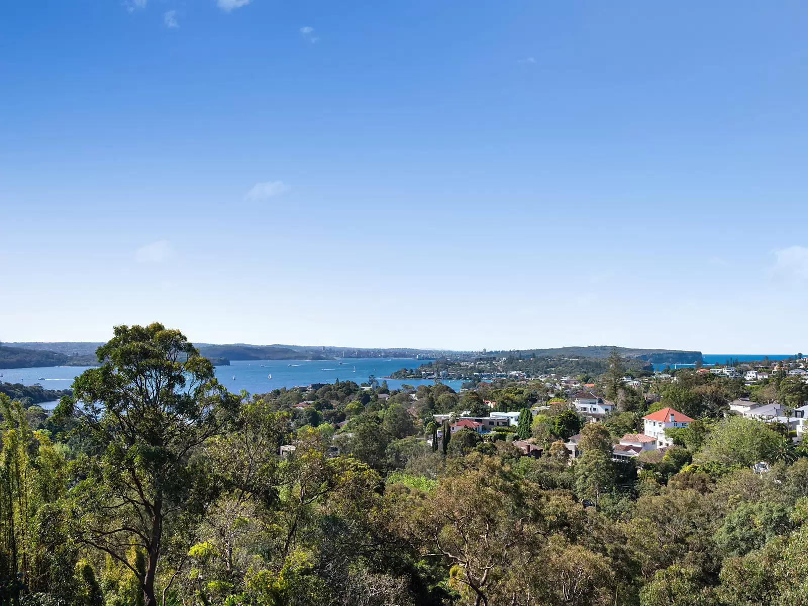 2 Hopetoun Avenue, Vaucluse Sold by Sydney Sotheby's International Realty - image 9