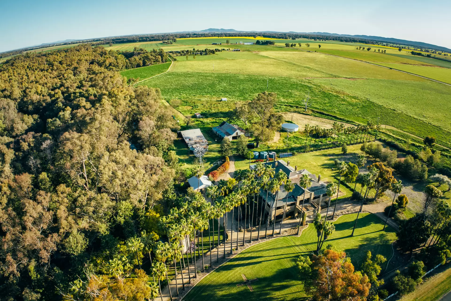 1301 Bedgerabong Road, Forbes Sold by Sydney Sotheby's International Realty - image 3