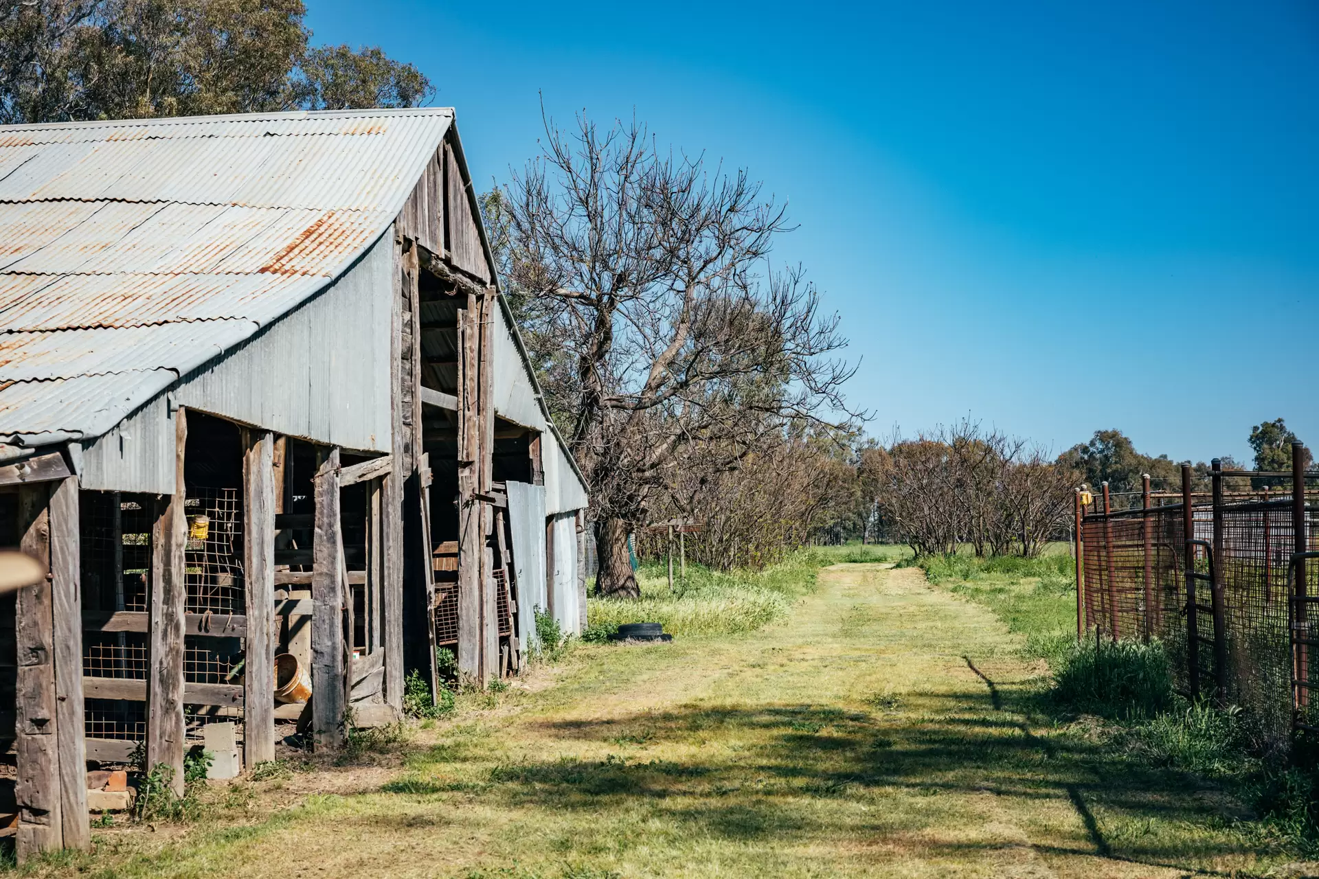 1301 Bedgerabong Road, Forbes Sold by Sydney Sotheby's International Realty - image 27
