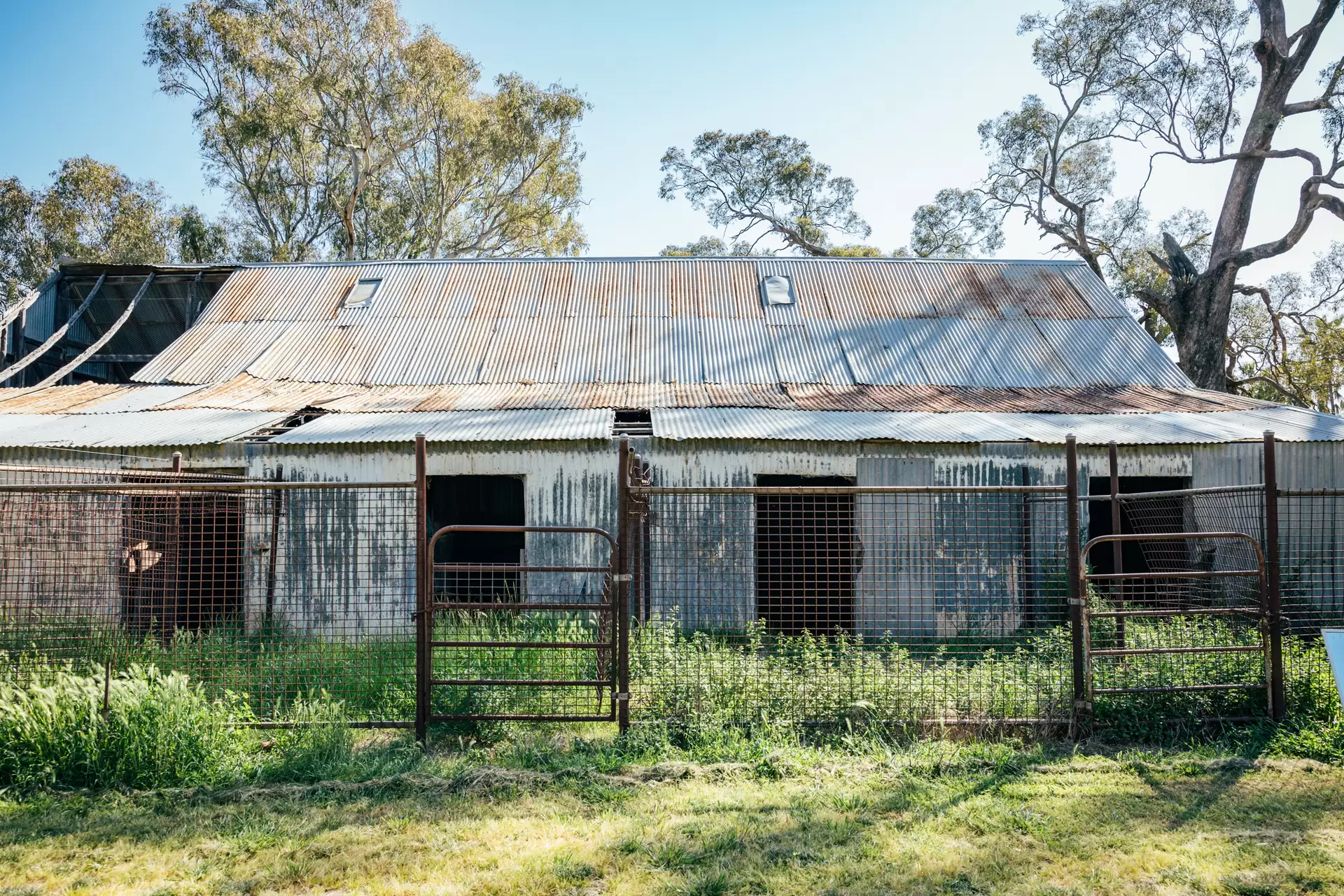 1301 Bedgerabong Road, Forbes Sold by Sydney Sotheby's International Realty - image 23