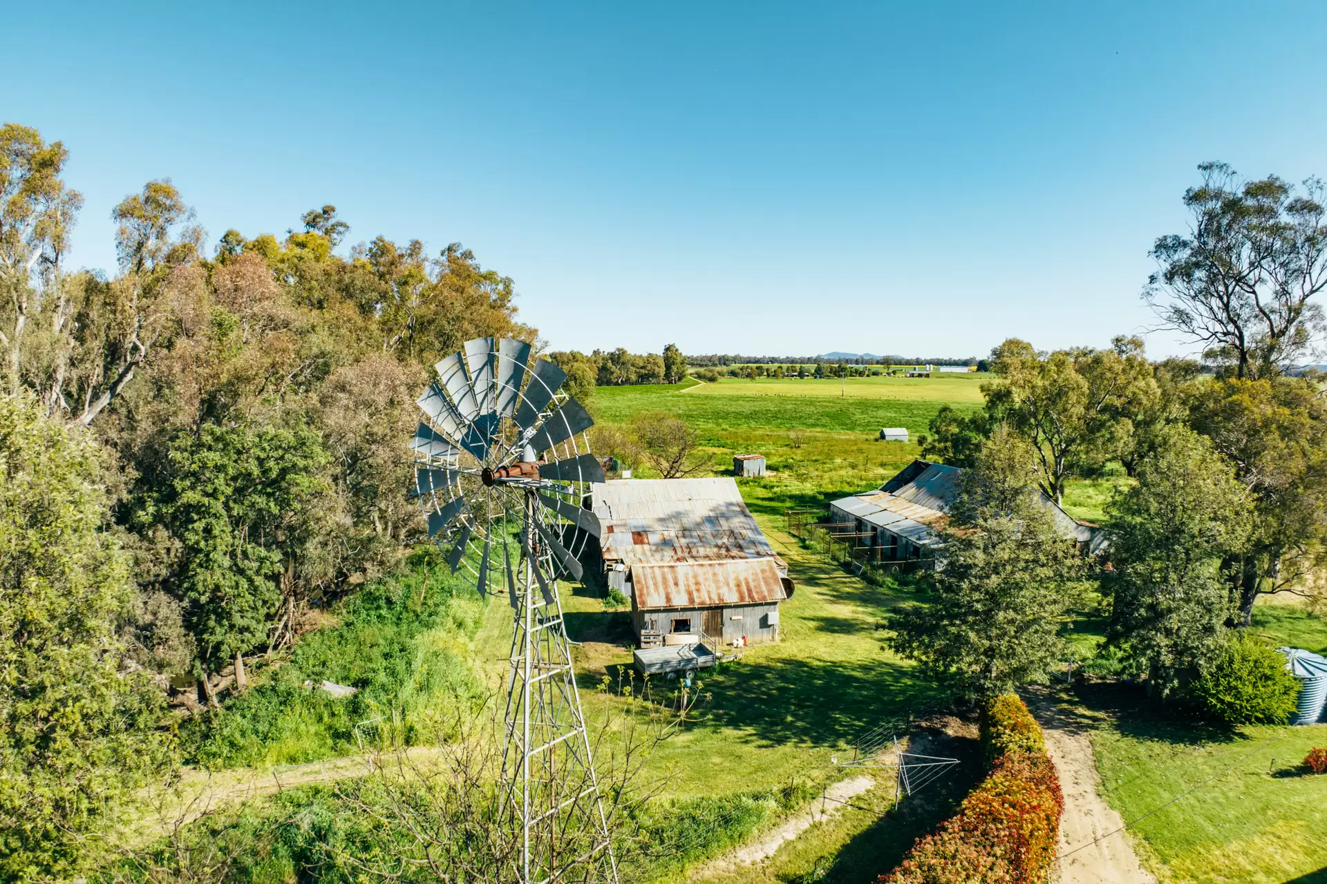 1301 Bedgerabong Road, Forbes Sold by Sydney Sotheby's International Realty - image 22