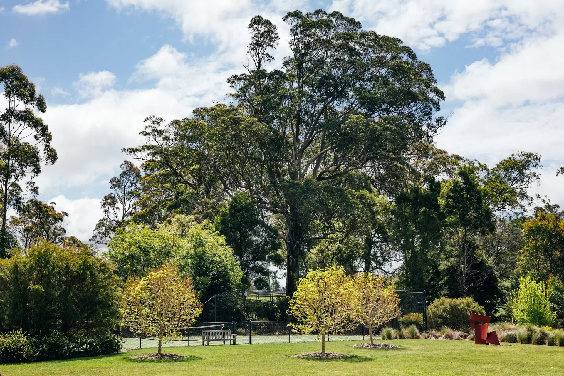 75 Spring Hill Road, Woodlands Sold by Sydney Sotheby's International Realty - image 19