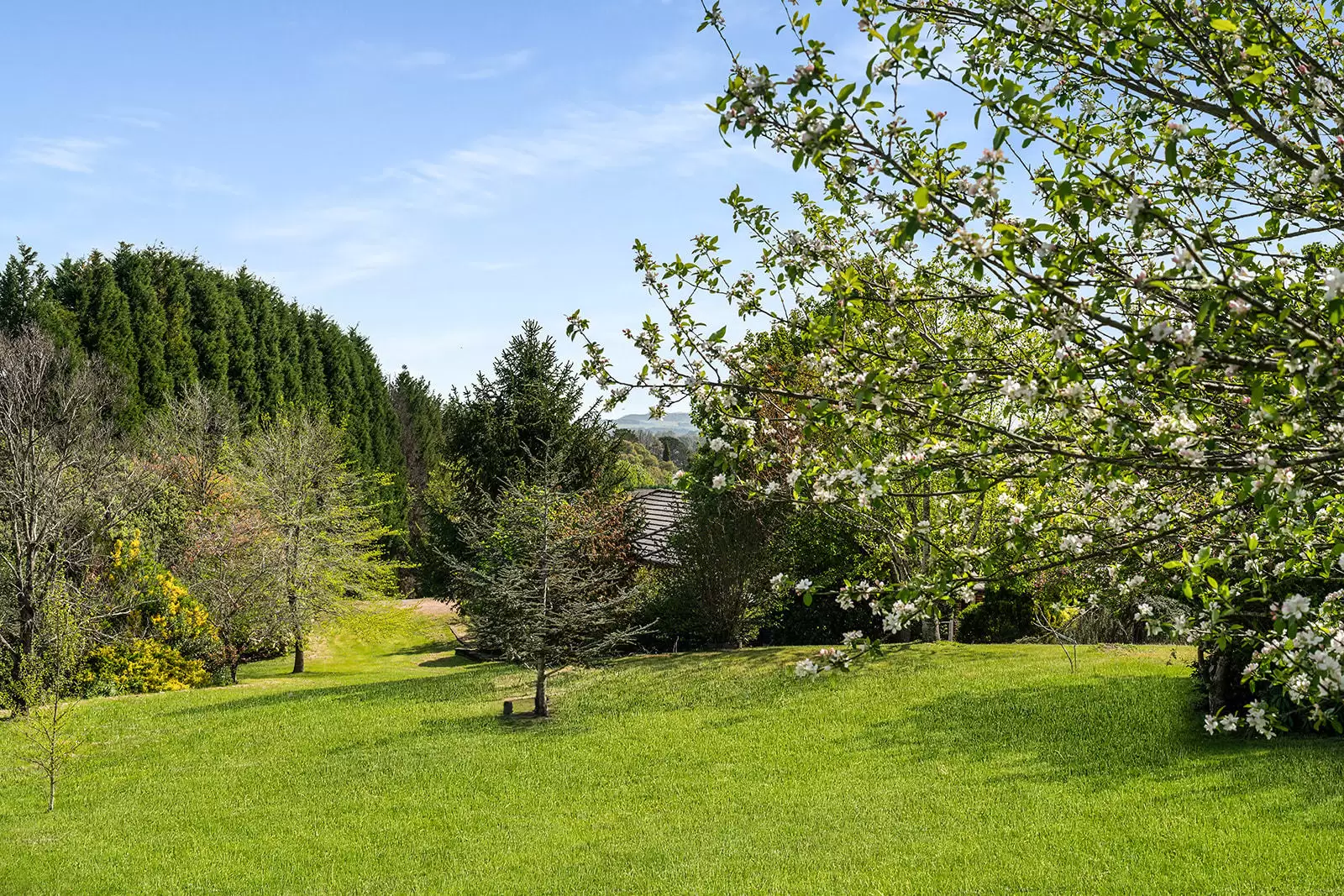 5 Carisbrooke Row, Bowral Sold by Sydney Sotheby's International Realty - image 22