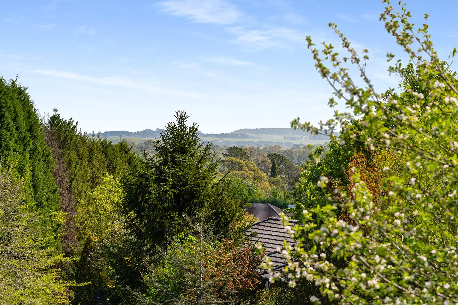 5 Carisbrooke Row, Bowral Sold by Sydney Sotheby's International Realty - image 24
