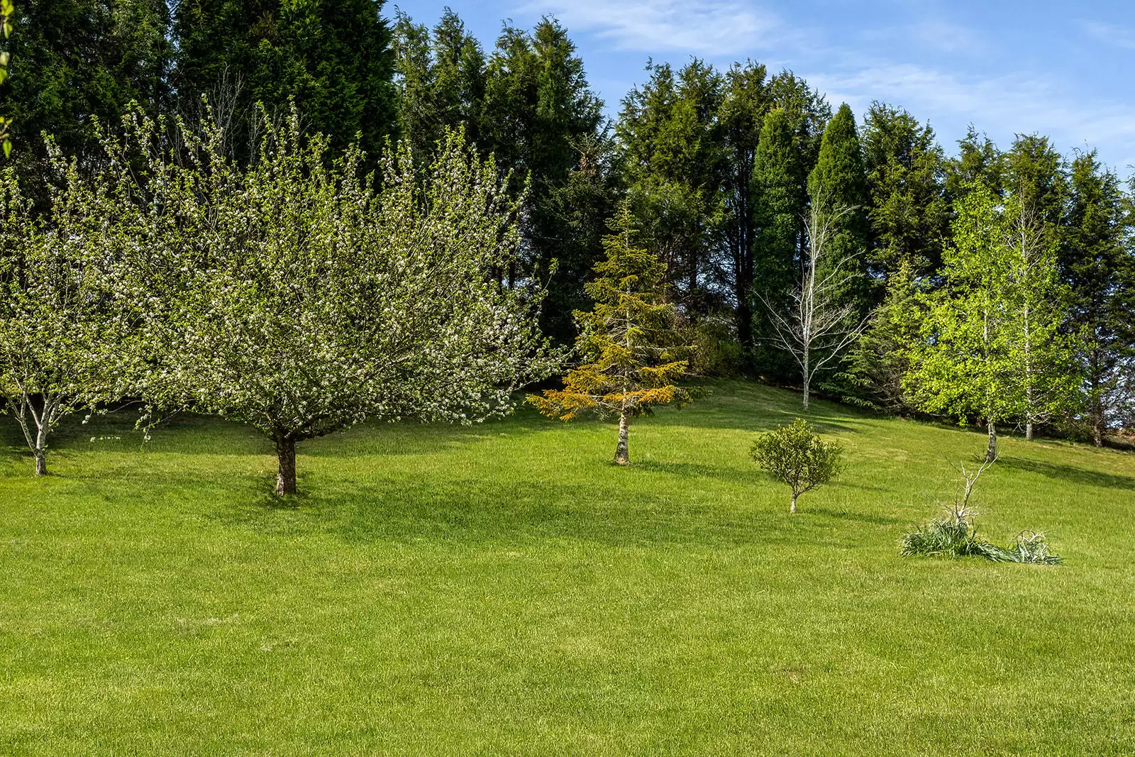 5 Carisbrooke Row, Bowral Sold by Sydney Sotheby's International Realty - image 19