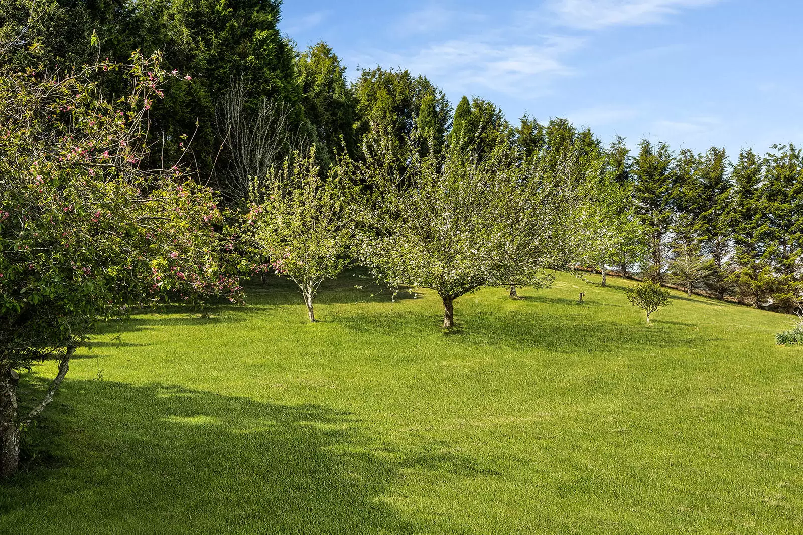 5 Carisbrooke Row, Bowral Sold by Sydney Sotheby's International Realty - image 21