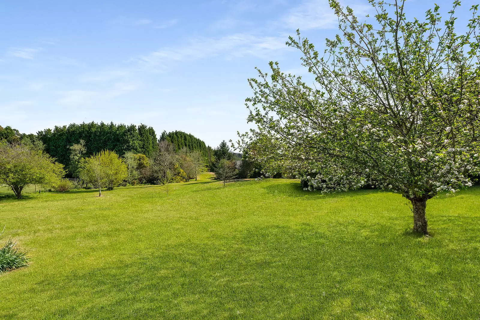 5 Carisbrooke Row, Bowral Sold by Sydney Sotheby's International Realty - image 23