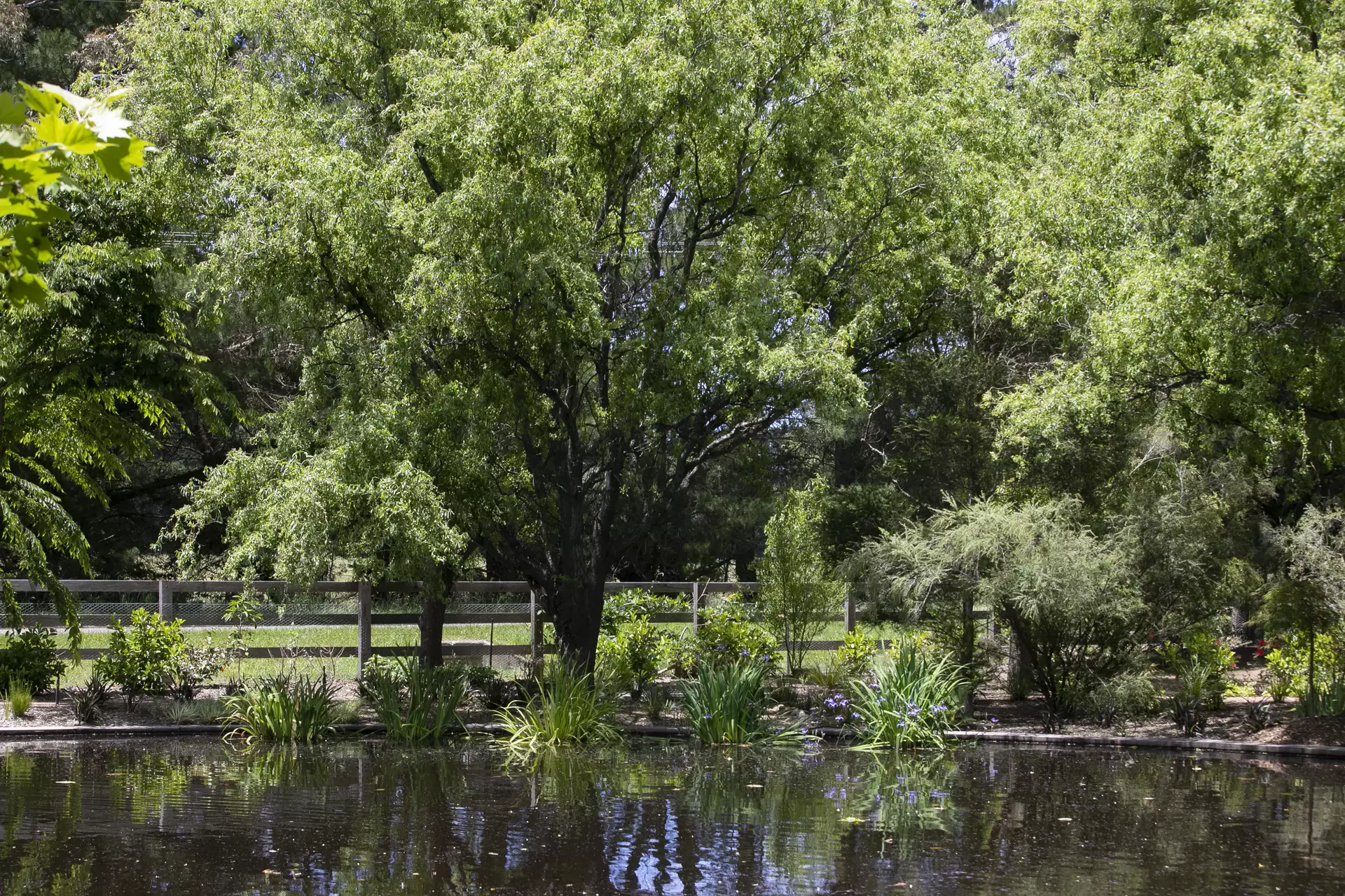 166 Sproules Lane, Glenquarry Sold by Sydney Sotheby's International Realty - image 26