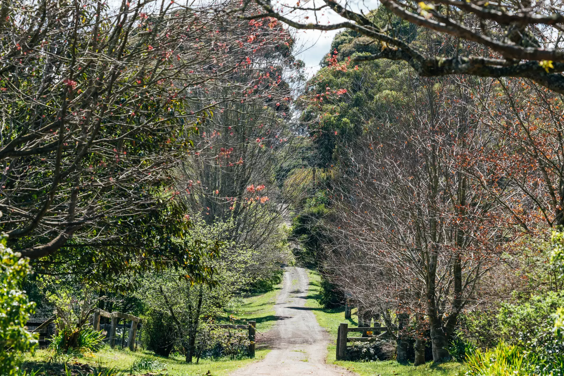 262 Blencowes Lane, Wildes Meadow Sold by Sydney Sotheby's International Realty - image 23