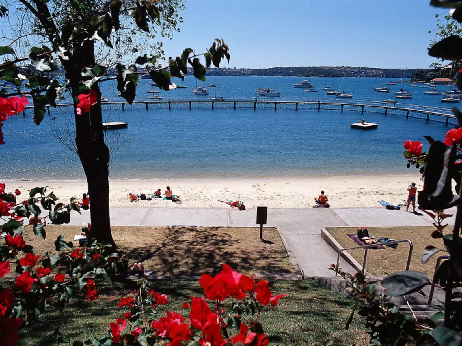 2/59 Wolseley Road, Point Piper Leased by Sydney Sotheby's International Realty - image 15