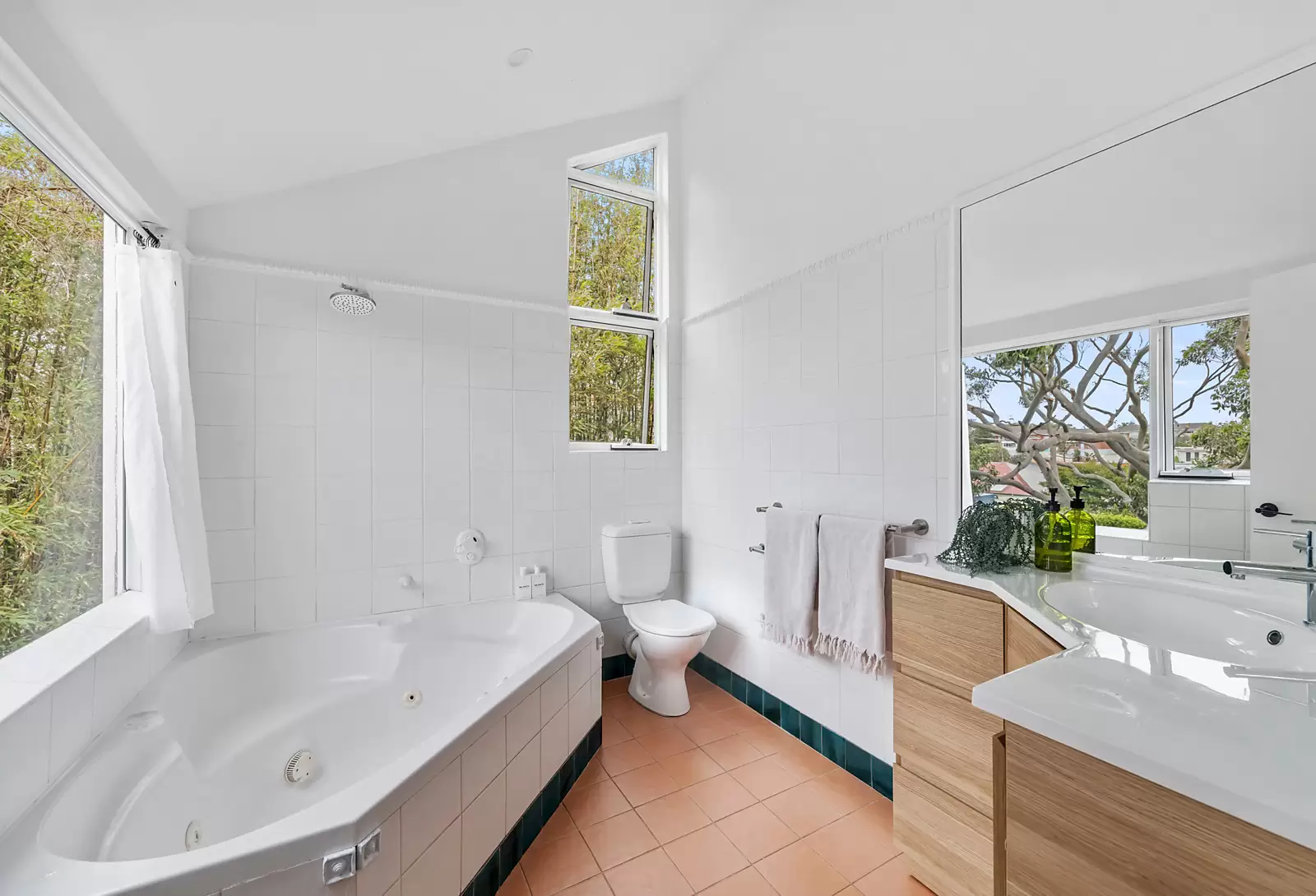 80 St Thomas Street, Clovelly Sold by Sydney Sotheby's International Realty - image 13