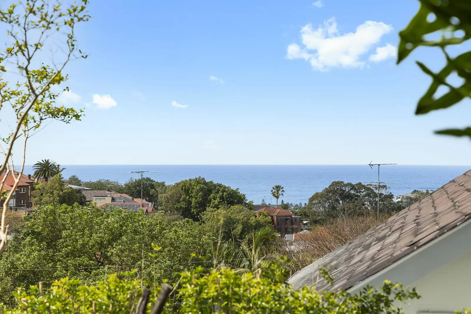 1 Dick Street, Randwick Sold by Sydney Sotheby's International Realty - image 11