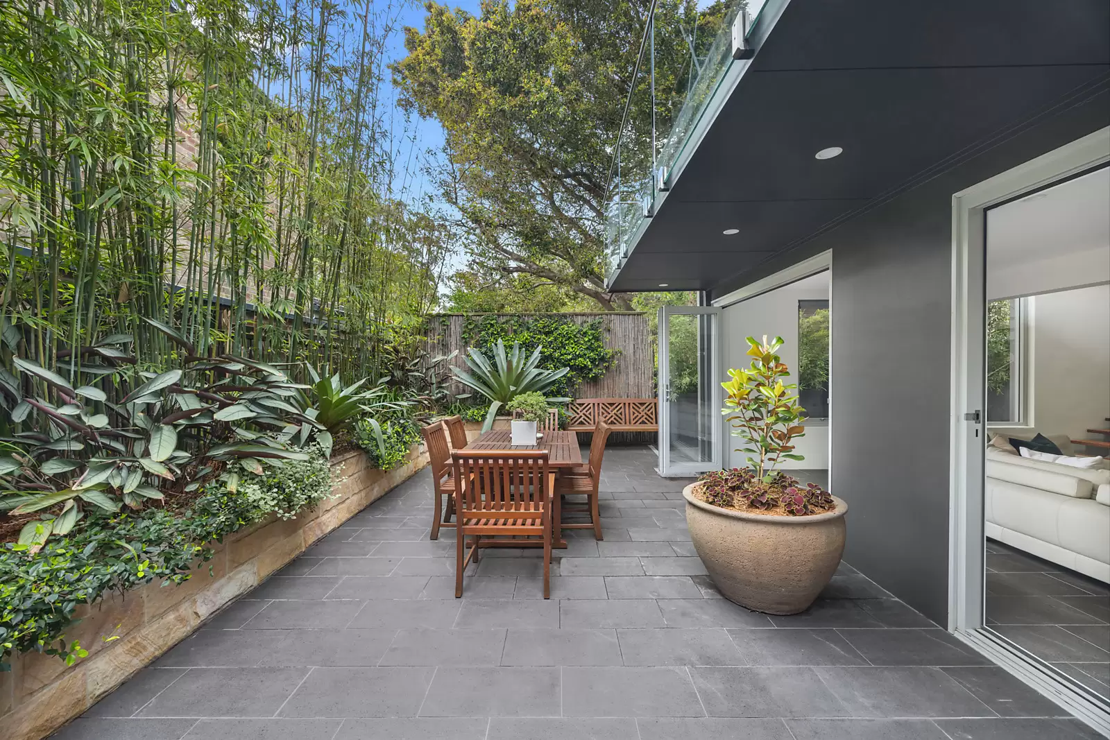 16 Randwick Street, Randwick Sold by Sydney Sotheby's International Realty - image 1