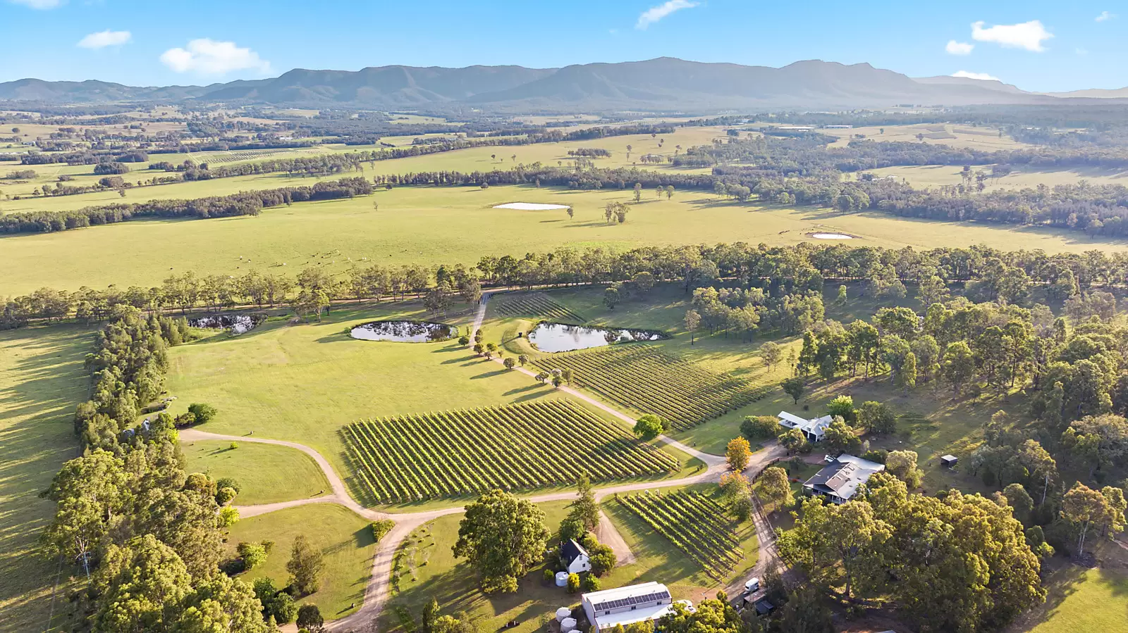 447 Old North Road, Pokolbin Sold by Sydney Sotheby's International Realty - image 13