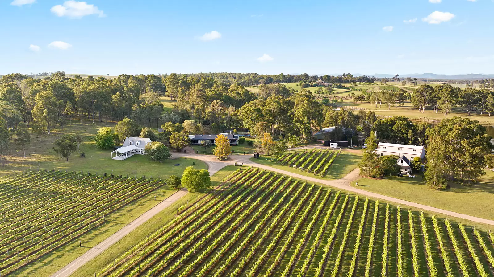 447 Old North Road, Pokolbin Sold by Sydney Sotheby's International Realty - image 2