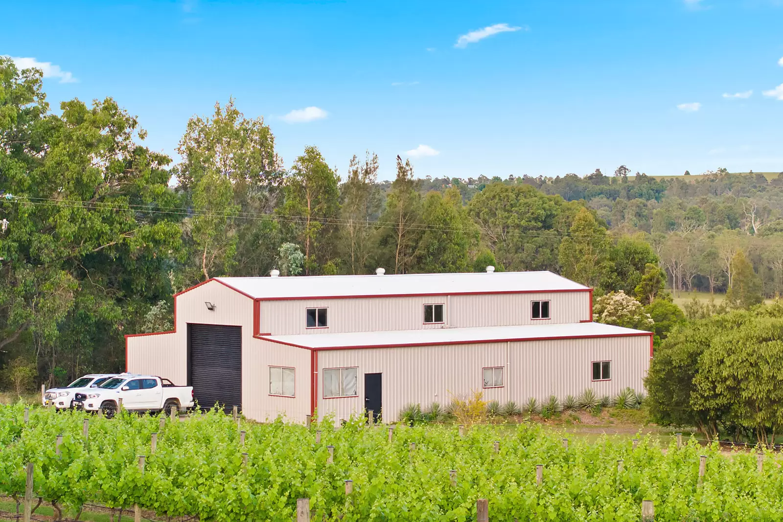 447 Old North Road, Pokolbin Sold by Sydney Sotheby's International Realty - image 15