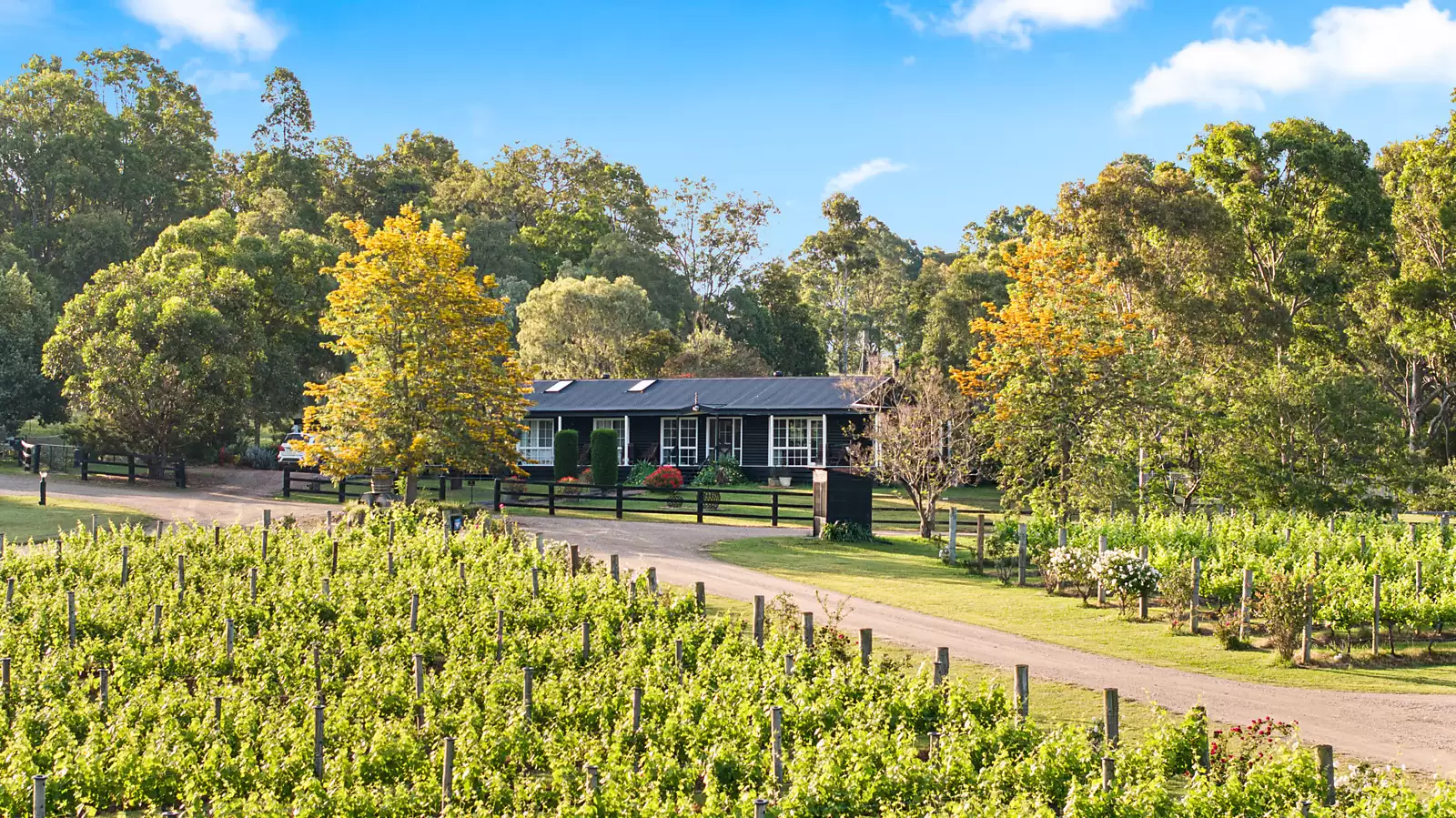 447 Old North Road, Pokolbin Sold by Sydney Sotheby's International Realty - image 4