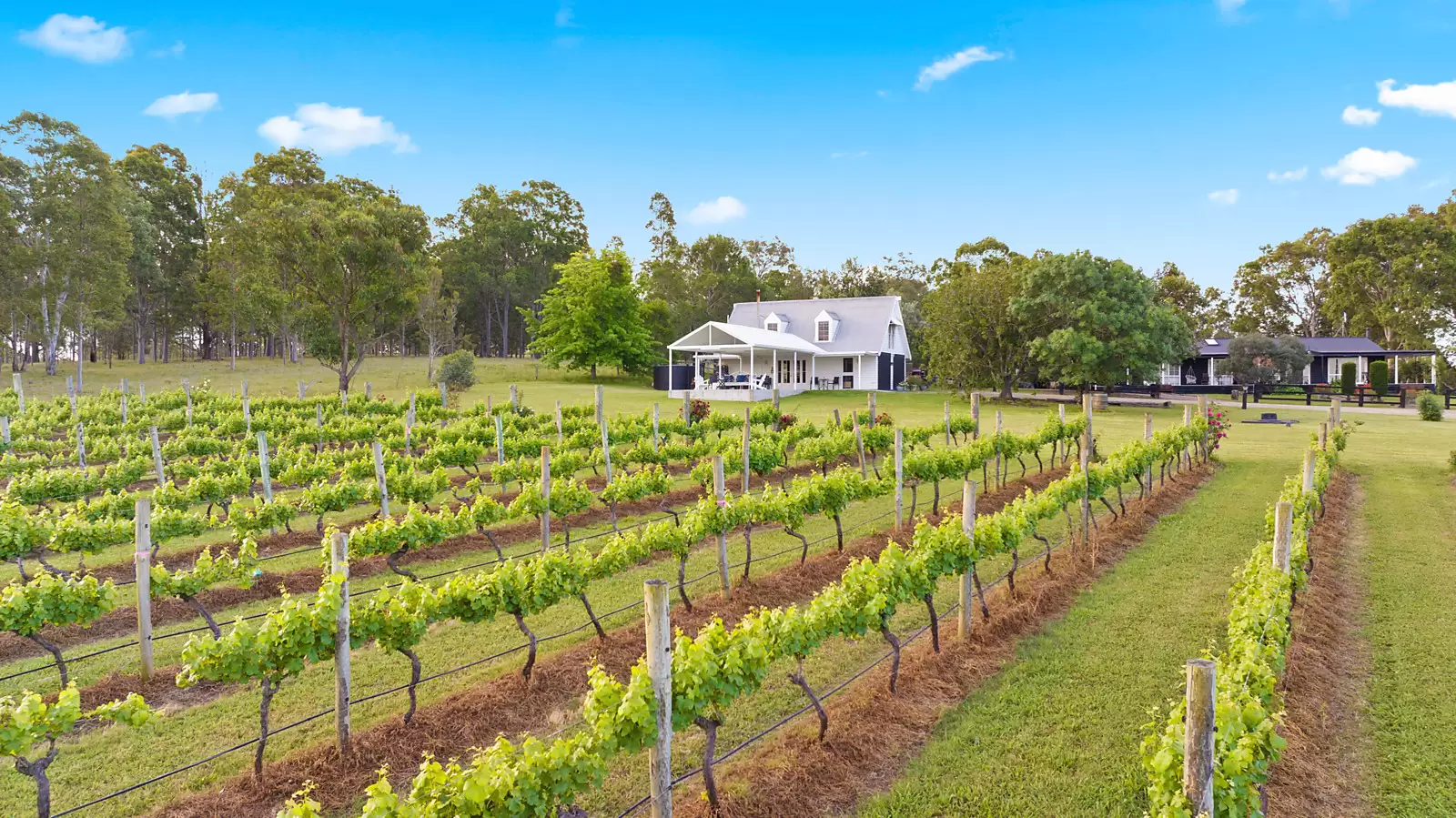 447 Old North Road, Pokolbin Sold by Sydney Sotheby's International Realty - image 6
