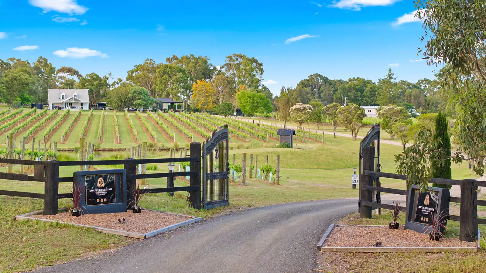 447 Old North Road, Pokolbin Sold by Sydney Sotheby's International Realty - image 14