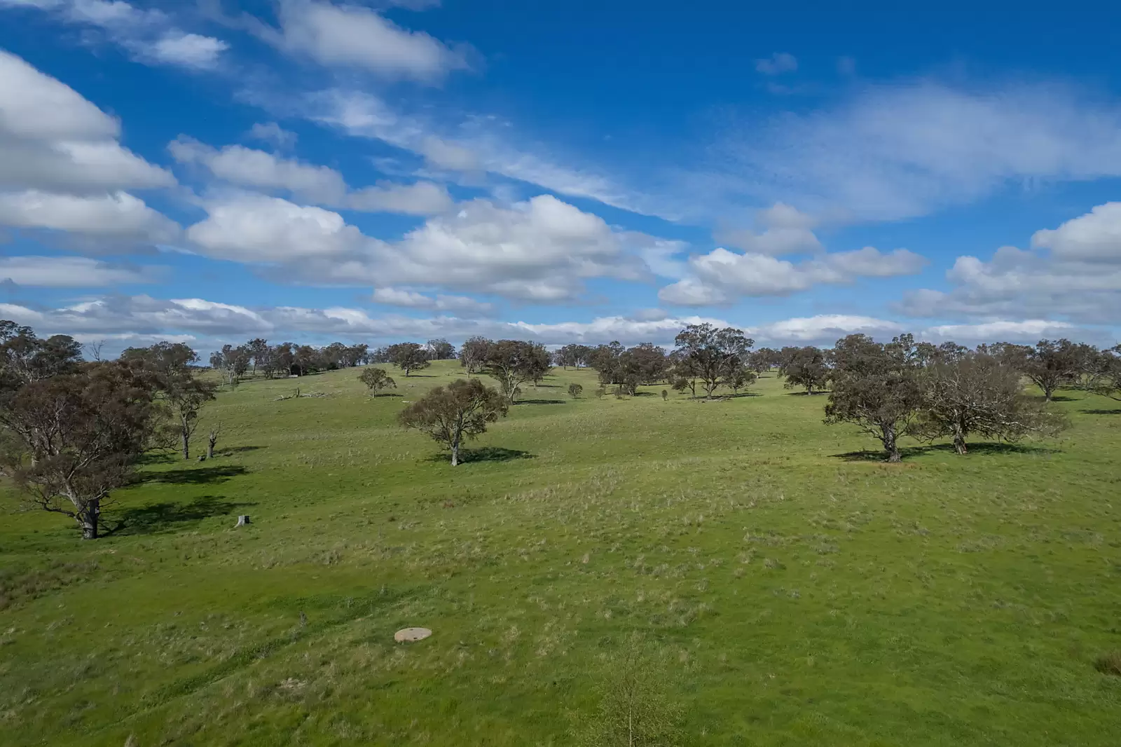 239 Longrail Gully Road, Murrumbateman Sold by Sydney Sotheby's International Realty - image 5