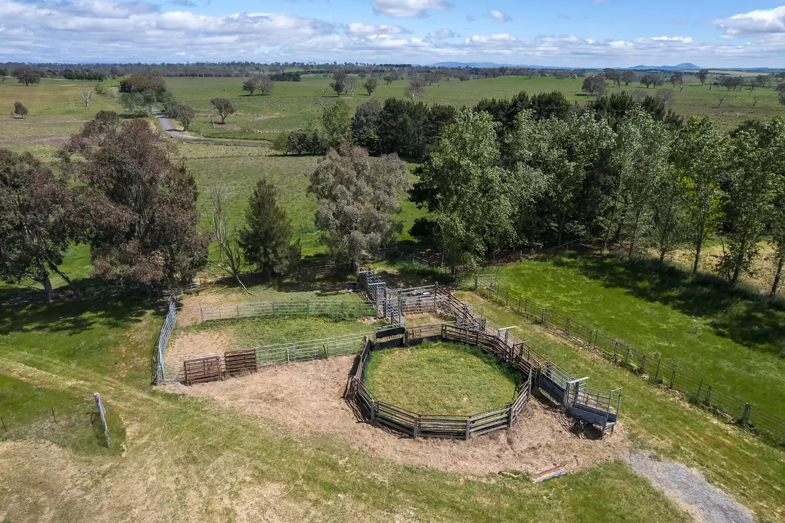 239 Longrail Gully Road, Murrumbateman Sold by Sydney Sotheby's International Realty - image 18