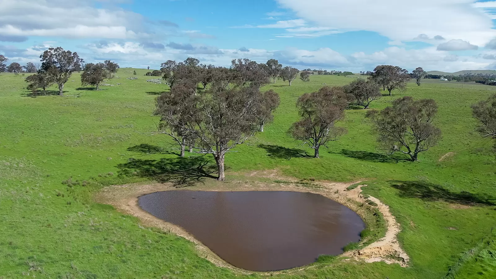 239 Longrail Gully Road, Murrumbateman Sold by Sydney Sotheby's International Realty - image 4